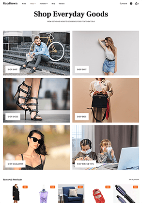 WT Rosybrown - WooCommerce Theme
